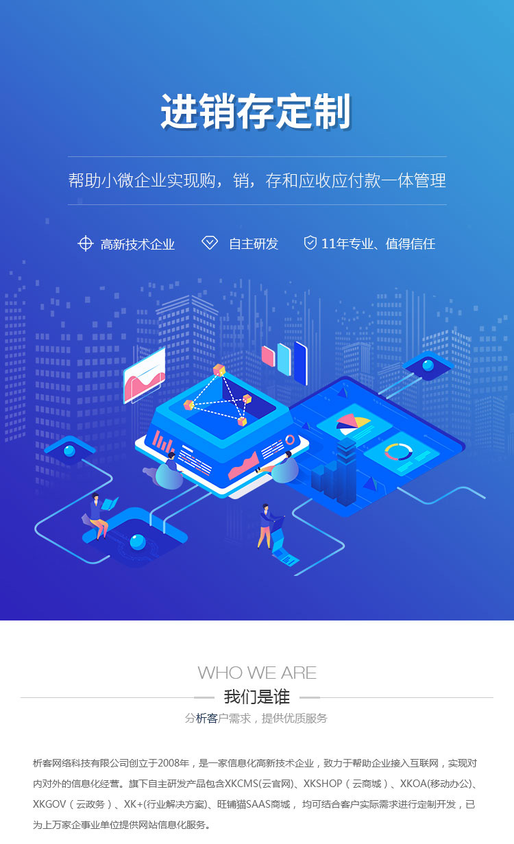 定制化的进销存系统助力企业高效管理